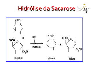 Hidrólise da Sacarose
Hidrólise da Sacarose
 