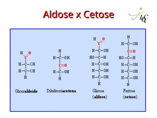 Aldose x Cetose
Aldose x Cetose
 