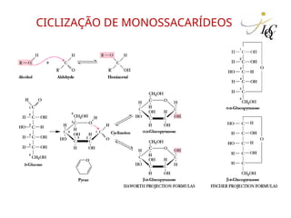 CICLIZAÇÃO DE MONOSSACARÍDEOS
 