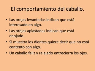 El comportamiento del caballo.
• Las orejas levantadas indican que está
interesado en algo.
• Las orejas aplastadas indican que está
enojado.
• Si muestra los dientes quiere decir que no está
contento con algo.
• Un caballo feliz y relajado entrecierra los ojos.
 