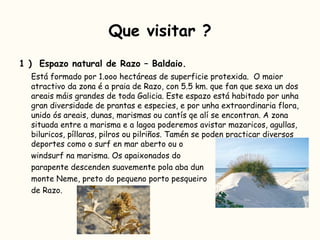 Que visitar ? 1 )  Espazo natural de Razo – Baldaio. Está formado por 1.ooo hectáreas de superficie protexida.  O maior atractivo da zona é a praia de Razo, con 5.5 km. que fan que sexa un dos areais máis grandes de toda Galicia. Este espazo está habitado por unha gran diversidade de prantas e especies, e por unha extraordinaria flora, unido ós areais, dunas, marismas ou cantís qe alí se encontran. A zona situada entre a marisma e a lagoa poderemos avistar mazaricos, agullas, biluricos, píllaras, pilros ou pilriños. Tamén se poden practicar diversos deportes como o surf en mar aberto ou o  windsurf na marisma. Os apaixonados do  parapente descenden suavemente pola aba dun  monte Neme, preto do pequeno porto pesqueiro  de Razo.  