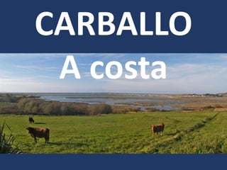 CARBALLO
A costa
 