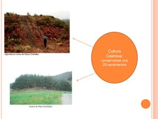Cultura
Castrexa;
conservanse uns
29 xacementos
 
