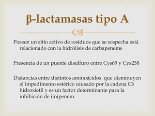β-lactamasas tipo A
             
Poseen un sitio activo de residuos que se sospecha está
  relacionado con la hidrólisis de carbapenems

Presencia de un puente disulfuro entre Cys69 y Cys238

Distancias entre distintos aminoácidos que disminuyen
  el impedimento estérico causado por la cadena C6
  hidroxietil y es un factor determinante para la
  inhibición de imipenem.
 