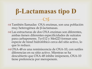 β-Lactamasas tipo D
             
 También llamadas OXA enzimas, son una población
  muy heterogénea de β-lactamasas.
 Las estructuras de dos OXA enzimas son diferentes,
  ambas tienen diferentes especificidades de sutratos
  para carbapenems. Tyr112 y Met223 forman una
  especie de túnel hidrofóbico cerca del sitio activo, lo
  que lo reduce.
 OXA-48 es una reminiscencia de OXA-10, con sutiles
  diferencias en su sitio activo. Mientras se ha
  descubierto que OXA-48 inhibe imipenem, OXA-10
  tiene preferencia por meropenem.
 