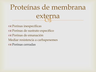 Proteínas de membrana
         externa
            
 Porinas inespecíficas
 Porinas de sustrato específico
 Porinas de emanación
Mediar resistencia a carbapenemes
 Porinas cerradas
 