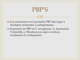 PBP’S
                     
 Las mutaciones en la proteína PBP dan lugar a
  fenotipos resistentes a carbapenemes.
 Expresión de PBP en P. aeruginosa, A. baumannii,
  P.mirabilis, y Rhodococcus equi se reduce,
  resultando en carbapenem.
 