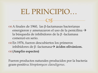 EL PRINCIPIO…
              
 A finales de 1960, las -lactamasas bacterianas
  emergieron y amenazaron el uso de la penicilina 
  la búsqueda de inhibidores de la -lactamasa
  comenzó en serio.
 En 1976, fueron descubiertos los primeros
  inhibidores de -lactamasa ácidos olivánicos.
 (Amplio espectro)

Fueron productos naturales producidos por la bacteria
gram-positiva Streptomyces clavuligerus.
 