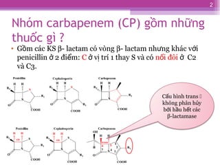 Nhóm carbapenem (CP) g m nh ngồ ữ
thu c gì ?ố
• G m các KSồ β- lactam có vòng β- lactam nh ng khác v iư ớ
penicillin 2 đi ...