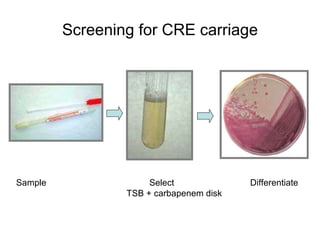 Carbapenemase 2011 | PPT