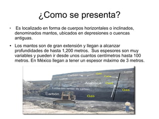 ¿Como se presenta?
●
Es localizado en forma de cuerpos horizontales o inclinados,
denominados mantos, ubicados en depresiones o cuencas
antiguas.
● Los mantos son de gran extensión y llegan a alcanzar
profundidades de hasta 1,200 metros. Sus espesores son muy
variables y pueden ir desde unos cuantos centímetros hasta 100
metros. En México llegan a tener un espesor máximo de 3 metros.
 