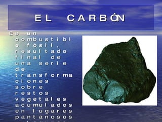 EL CARBÓN <ul><li>Es un combustible fósil, resultado final de una serie de transformaciones sobre restos vegetales acumula...