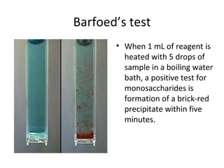The Characterization of Carbohydrates | PPT