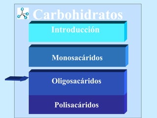 Carbohidratos
  Introducción


  Monosacáridos

  Oligosacáridos


   Polisacáridos
 