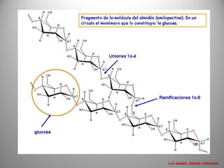 LUZ ANABEL SIERRA CARDENAS
 
