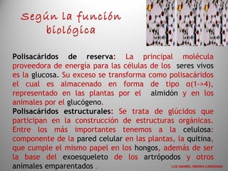 Polisacáridos de reserva: La principal molécula
proveedora de energía para las células de los seres vivos
es la glucosa. Su exceso se transforma como polisacáridos
el cual es almacenado en forma de tipo α(1->4),
representado en las plantas por el almidón y en los
animales por el glucógeno.
Polisacáridos estructurales: Se trata de glúcidos que
participan en la construcción de estructuras orgánicas.
Entre los más importantes tenemos a la celulosa:
componente de la pared celular en las plantas, la quitina,
que cumple el mismo papel en los hongos, además de ser
la base del exoesqueleto de los artrópodos y otros
animales emparentados .
Según la función
biológica
LUZ ANABEL SIERRA CARDENAS
 