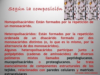 Homopolisacáridos: Están formados por la repetición de
un monosacárido.
Heteropolisacáridos: Están formados por la repetición
ordenada de un disacárido formado por dos
monosacáridos distintos (o, lo que es lo mismo, por la
alternancia de dos monosacáridos).
Algunos heteropolisacáridos participan junto a
polipéptidos (cadenas de aminoácidos) de diversos
polímeros mixtos llamados peptidoglucanos,
mucopolisacáridos o proteoglucanos. Se trata
esencialmente de componentes estructurales de los
tejidos, relacionados con paredes celulares y matrices
Según la composición
LUZ ANABEL SIERRA CARDENAS
 