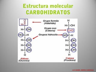 Estructura molecular
CARBOHIDRATOS
LUZ ANABEL SIERRA CARDENAS
 