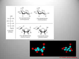 LUZ ANABEL SIERRA CARDENAS
 