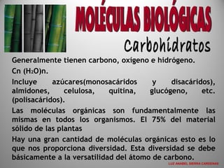 Generalmente tienen carbono, oxígeno e hidrógeno.
Cn (H2O)n.
Incluye azúcares(monosacáridos y disacáridos),
almidones, celulosa, quitina, glucógeno, etc.
(polisacáridos).
Las moléculas orgánicas son fundamentalmente las
mismas en todos los organismos. El 75% del material
sólido de las plantas
Hay una gran cantidad de moléculas orgánicas esto es lo
que nos proporciona diversidad. Esta diversidad se debe
básicamente a la versatilidad del átomo de carbono.
LUZ ANABEL SIERRA CARDENAS
 