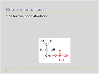 Esteres fosfóricos
   Se forman por fosforilación.
 