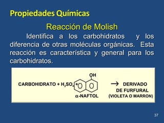 Reacción de MolishReacción de Molish
Identifica a los carbohidratos y losIdentifica a los carbohidratos y los
diferencia de otras moléculas orgánicas. Estadiferencia de otras moléculas orgánicas. Esta
reacción es característica y general para losreacción es característica y general para los
carbohidratos.carbohidratos.
37
OH
CARBOHIDRATO + H2SO4 + → DERIVADO
DE FURFURAL
α-NAFTOL (VIOLETA O MARRON)
 