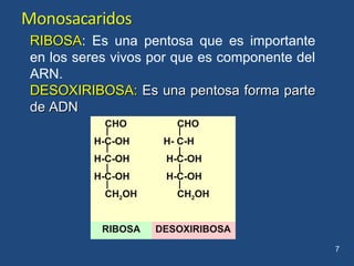 CHO CHO
H-C-OH H- C-H
H-C-OH H-C-OH
H-C-OH H-C-OH
CH2OH CH2OH
RIBOSA DESOXIRIBOSA
7
RIBOSARIBOSA: Es una pentosa que es importante
en los seres vivos por que es componente del
ARN.
DESOXIRIBOSA:DESOXIRIBOSA: Es una pentosa forma parteEs una pentosa forma parte
de ADNde ADN
 