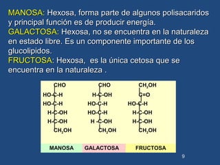 CHO CHO CH2OH
HO-C-H H-C-OH C=O
HO-C-H HO-C-H HO-C-H
H-C-OH HO-C-H H-C-OH
H-C-OH H -C-OH H-C-OH
CH2OH CH2OH CH2OH
MANOSA GALACTOSA FRUCTOSA
9
MANOSA:MANOSA: Hexosa, forma parte de algunos polisacaridosHexosa, forma parte de algunos polisacaridos
y principal función es de producir energía.y principal función es de producir energía.
GALACTOSA:GALACTOSA: Hexosa, no se encuentra en la naturalezaHexosa, no se encuentra en la naturaleza
en estado libre. Es un componente importante de losen estado libre. Es un componente importante de los
glucolipidos.glucolipidos.
FRUCTOSAFRUCTOSA: Hexosa, es la única cetosa que se: Hexosa, es la única cetosa que se
encuentra en la naturaleza .encuentra en la naturaleza .
 