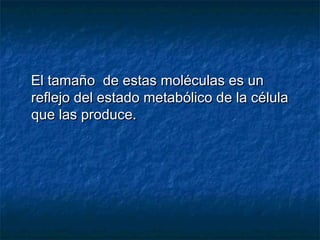 El tamaño de estas moléculas es unEl tamaño de estas moléculas es un
reflejo del estado metabólico de la célulareflejo del estado metabólico de la célula
que las produce.que las produce.
 