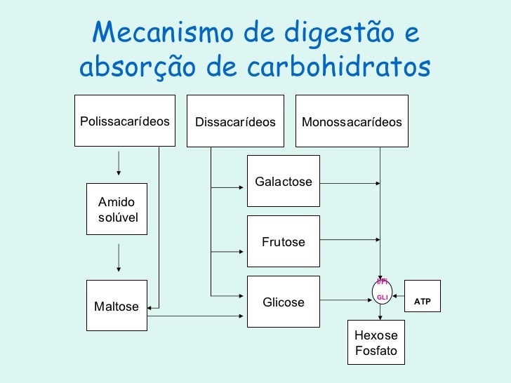 Metabolismo proteinas bioquimica Metabolismo proteinas bioquimica