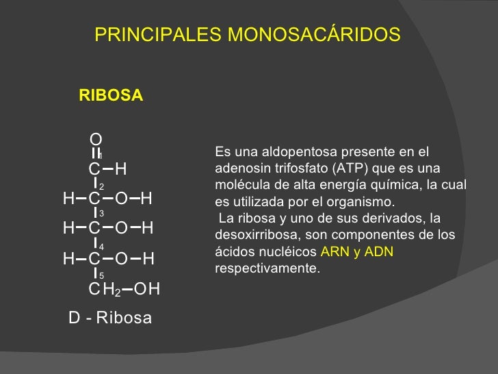 Carbohidratos