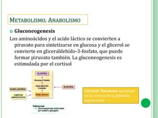 Carbohidratos. (1)