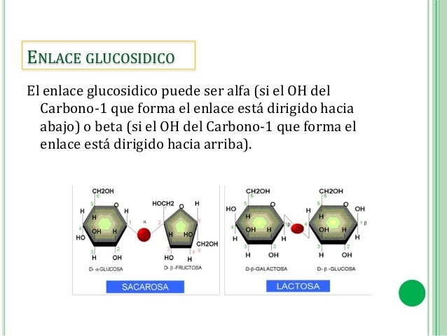 Carbohidratos. (1)