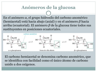 Conformaciones de la glucosa. La glucosa se presenta, casi completamente, en la forma hemiacetálica cíclica. La proyección de Haworth se utiliza mucho para representar los hemiacetales, aunque puede dar la impresión de que el anillo es plano. La conformación de silla es más real 