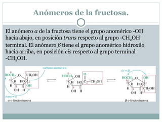 Fructosa. La fructosa forma un hemiacetal cíclico de cinco miembros. Los anillos de cinco miembros generalmente se representan mediante estructuras planas de Haworth. Los anillos de cinco miembros no están tan alejados de la coplanaridad como los anillos de seis miembros, por lo que generalmente se presentan como las proyecciones planas de Haworth 