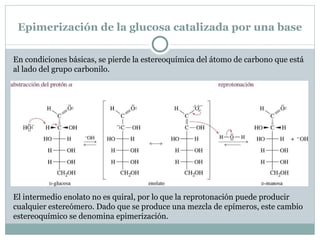 Anómeros de la fructosa. El anómero  α  de la fructosa tiene el grupo anomérico -OH hacia abajo, en posición  trans  respecto al grupo -CH 2 OH terminal. El anómero  β  tiene el grupo anomérico hidroxilo hacia arriba, en posición  cis  respecto al grupo terminal -CH 2 OH. 
