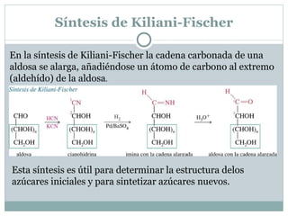 Formación de osazonas. Dos moléculas de fenilhidrazina condensan con cada molécula del azúcar para dar lugar a una osazona, en la que C1 y C2 se han transformado en fenilhidrazonas. La mayoría de las osazonas cristalizan con facilidad, con unos puntos de fusión característicos. Los puntos de fusión de las osazonas son datos importantes para la identificación y comparación de los azúcares 