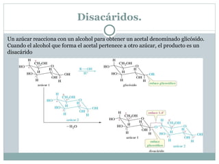 Síntesis de Kiliani-Fischer En la síntesis de Kiliani-Fischer la cadena carbonada de una aldosa se alarga, añadiéndose un átomo de carbono al extremo (aldehído) de la aldosa .  Esta síntesis es útil para determinar la estructura delos azúcares iniciales y para sintetizar azúcares nuevos. 