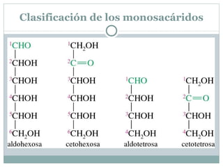 Estructuras de la glucosa y la fructosa la glucosa y la fructosa son monosacáridos. La glucosa es una aldosa (azúcar con un grupo aldehído) y la fructosa es una cetosa (azúcar con un grupo cetona). Las estructuras de los carbohidratos se suelen representar utilizando proyecciones de Fischer. 