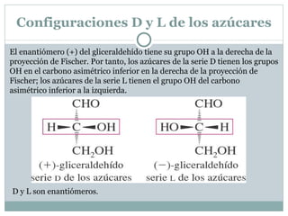 Clasificación de los monosacáridos A los azúcares con un grupo aldehído se les denomina aldosas y a los que tienen un grupo cetona, cetosas. Un azúcar generalmente tienen entre tres y siete átomos de carbono, denominándose triosa (tres carbonos), tetrosa (cuatro carbonos), pentosa (cinco carbonos), hexosa (seis carbonos) y heptosa (siete carbonos). La mayor parte de las cetosas tienen el grupo centona en C2, segundo átomo de carbono de la cadena. 