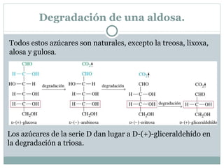 Clasificación de los monosacáridos 