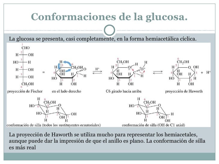 Carbohidratos