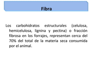 Carbohidratos | PPT