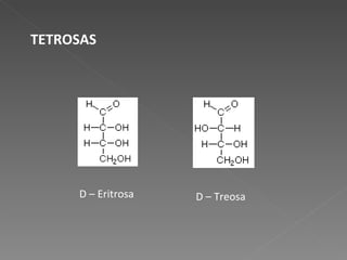                       TETROSAS D – Eritrosa D – Treosa 