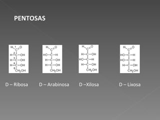 PENTOSAS D – Ribosa D – Arabinosa D – Lixosa D –Xilosa 