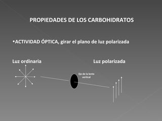 PROPIEDADES DE LOS CARBOHIDRATOS ACTIVIDAD ÓPTICA, girar el plano de luz polarizada Luz ordinaria Luz polarizada  Eje de la lente vertical 