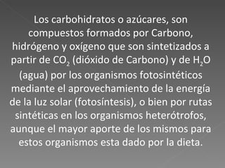 Los carbohidratos o azúcares, son compuestos formados por Carbono, hidrógeno y oxígeno que son sintetizados a partir de CO 2  (dióxido de Carbono) y de H 2 O (agua) por los organismos fotosintéticos mediante el aprovechamiento de la energía de la luz solar (fotosíntesis), o bien por rutas sintéticas en los organismos heterótrofos, aunque el mayor aporte de los mismos para estos organismos esta dado por la dieta. 