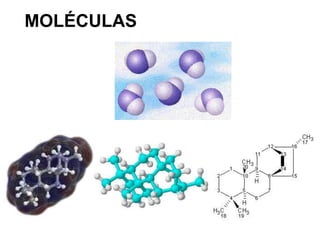 MOLÉCULAS
 