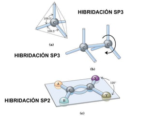 HIBRIDACIÓN SP3




   HIBRIDACIÓN SP3




HIBRIDACIÓN SP2
 