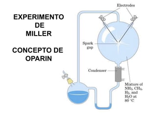 EXPERIMENTO
     DE
   MILLER

CONCEPTO DE
   OPARIN
 
